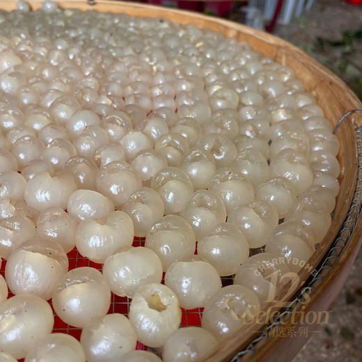 2025年新❗️本味特级无核老树桂圆肉  无添加糖和二氧化硫 甘甜清香滋养补益 邮政韵达随机 商品图8