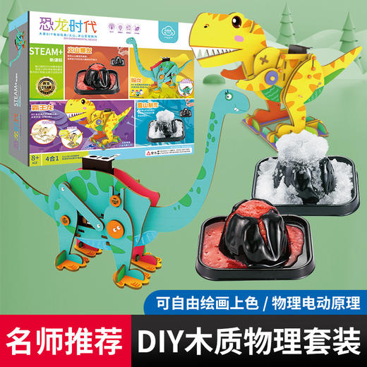 [爆款推荐】科学小实验套装学生科技DIY手工发明木质物理制作器材儿童玩具 商品图3
