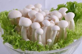 白玉菇(袋)