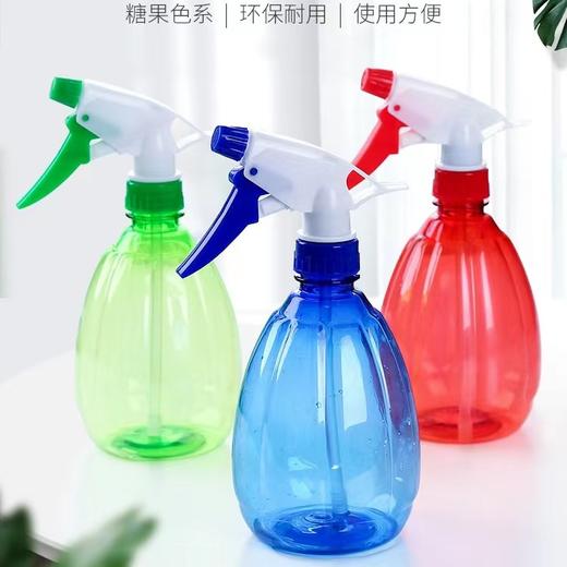 园艺手持喷水壶家用喷壶浇花小号园艺喷雾器消毒专用浇水壶气压式高压喷细雾喷瓶 商品图8