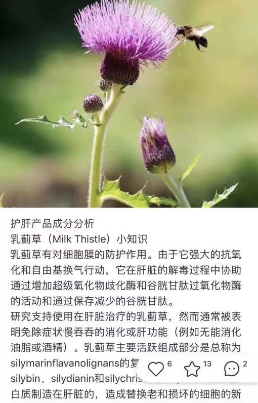 特价240元🉐 护肝的品种，奶蓟草，英文名为Milk Thistle,在欧洲，利用奶蓟草治疗肝病已有数千年的历史。奶蓟草能激活肝脏蛋白的再生，恢复被酒精和病毒所破坏的肝细胞的活性 商品图6