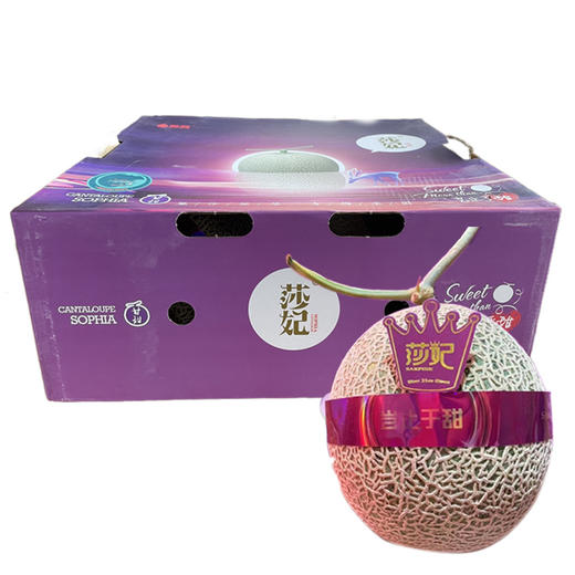 夏能莎妃网纹瓜（礼盒装） 商品图0