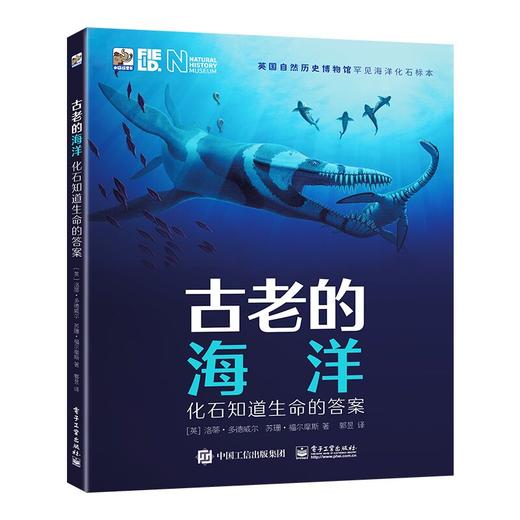古老的海洋 化石知道生命的答案 商品图0