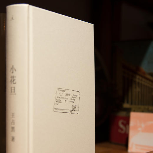 (仓发) 小花旦/上海三联书店/王占黑/9787542671547 商品图6