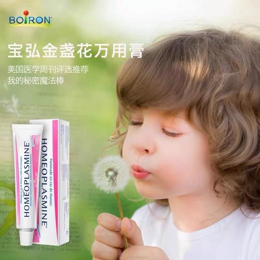 法国boiron宝弘金盏花万用膏宝宝护臀膏 商品图1