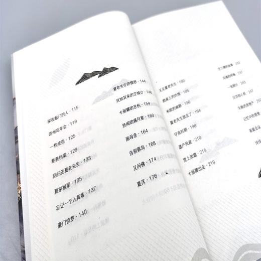 (仓发) 朱门一入/文化发展出版社/阿娜尔古丽，王湛华/9787514235142 商品图5