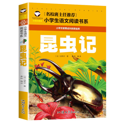 昆虫记 注音彩图版  商品图4