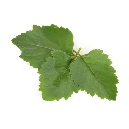 Valmont法尔曼威尼斯故事全系列中性香水50ml EDP香精「诱人魅力」 商品图6