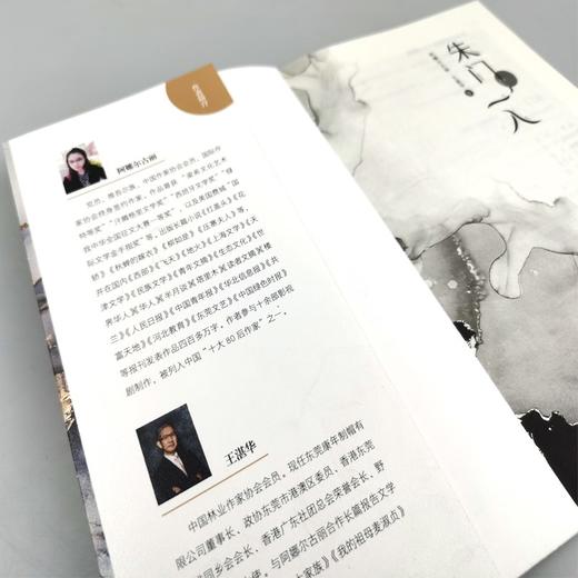 (仓发) 朱门一入/文化发展出版社/阿娜尔古丽，王湛华/9787514235142 商品图4