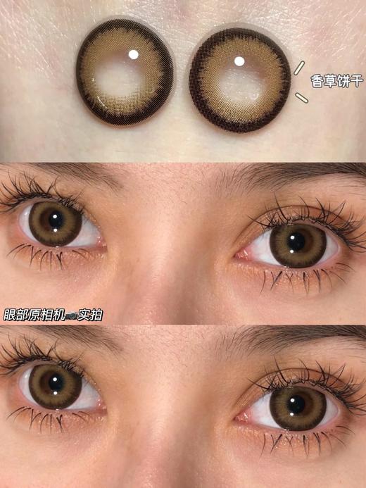 Ocean girl日抛版O-6 10p/盒 商品图2