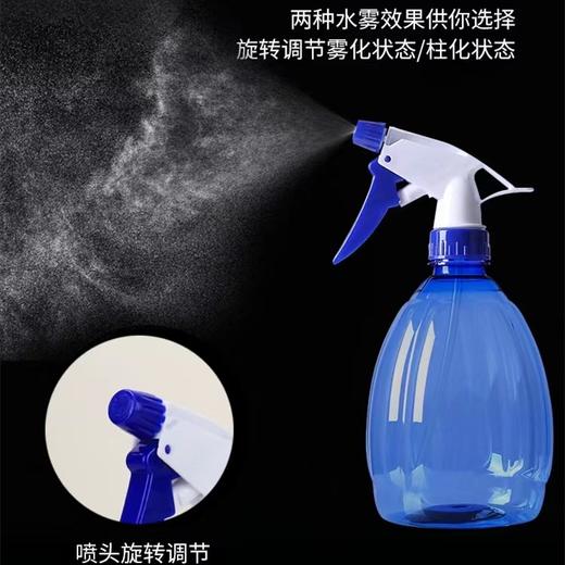 园艺手持喷水壶家用喷壶浇花小号园艺喷雾器消毒专用浇水壶气压式高压喷细雾喷瓶 商品图4