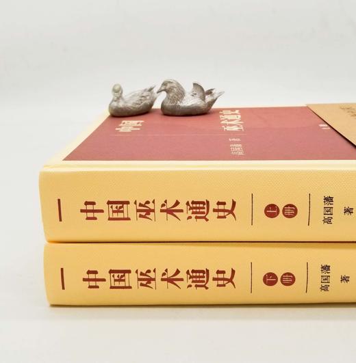 《中国巫术通史》，精装，16开，全2册，高国藩著，江苏凤凰出版社2020年第一版第五次印刷，1310页，定价480，售价235元。

中国古代神话传说中所谓的神仙、魔鬼、妖怪，是人们试图解释和战胜各种 商品图1