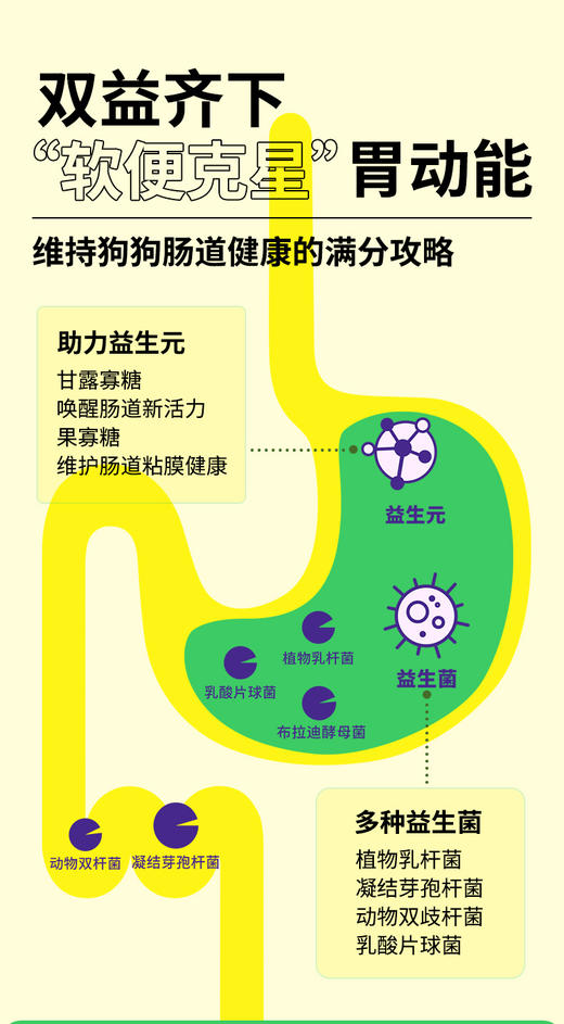 牛肉益生元20斤 全犬期通用粮 强骨护胃 商品图5