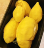 【会员68/盒】名膳堂 泰国老树金枕榴莲肉 500g/盒 商品缩略图0