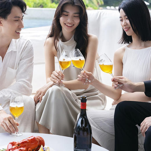 INEDIT DAMM 75cl*12 商品图6