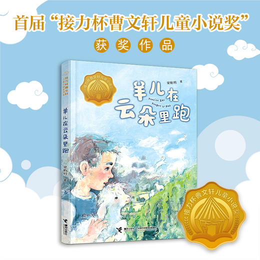 羊儿在云朵里跑：接力杯曹文轩儿童小说奖书系 商品图1
