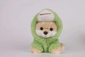 小号站款-绿恐龙衣服