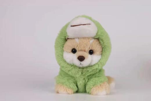 小号站款-绿恐龙衣服 商品图0