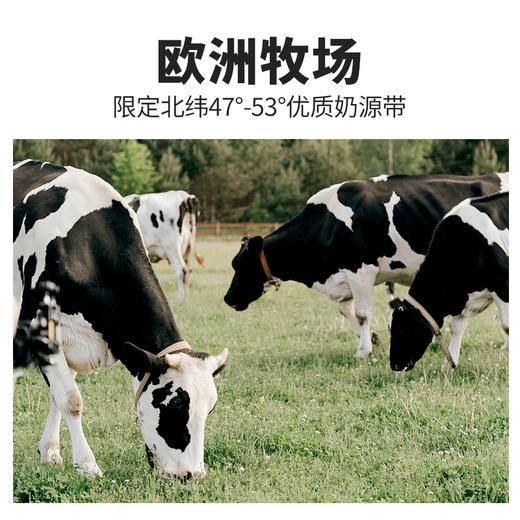 中粮上质牛奶礼盒（全脂）200ml*10（不带手提袋） 商品图2