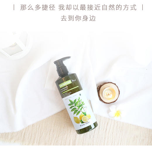 无患子植萃洗发露沐浴露500ml*1瓶  植物萃取自然安心【悦意】 商品图2