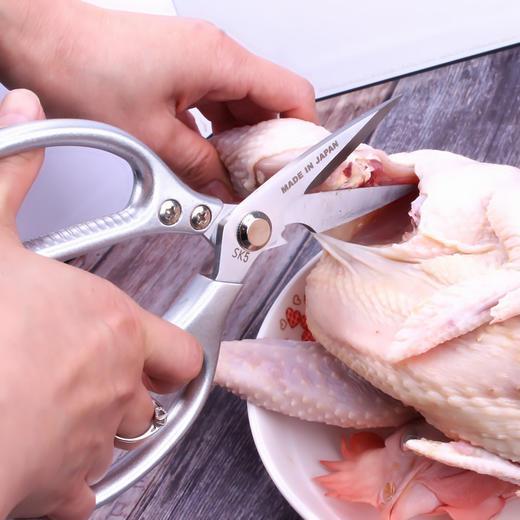 【日本SK5三代剪刀 剪鸡如剪纸】多功能不锈钢厨用剪刀 厨房大力剪 厨房专用剪骨杀鱼日本SK5剪刀 商品图1