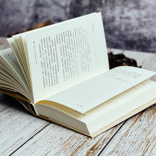 中国结 朱杰人时论散文集 增订本 正版 精装 华东师范大学出版社 商品图11