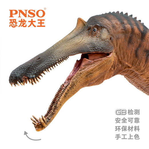 PNSO中国上龙崇左恐龙大王成长陪伴模型66 商品图4