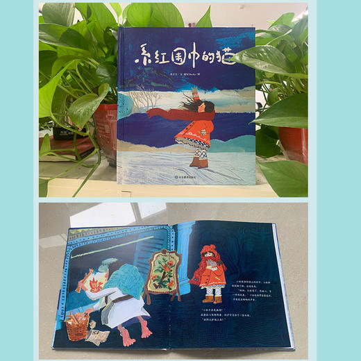 系红围巾的猫 商品图2