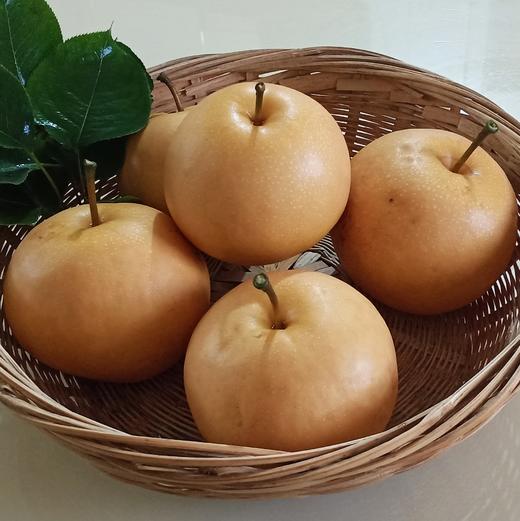 有机梨 | 多品种 香甜无渣 肉质饱满 滋润 |  基地直发包邮*Organic pears 商品图3