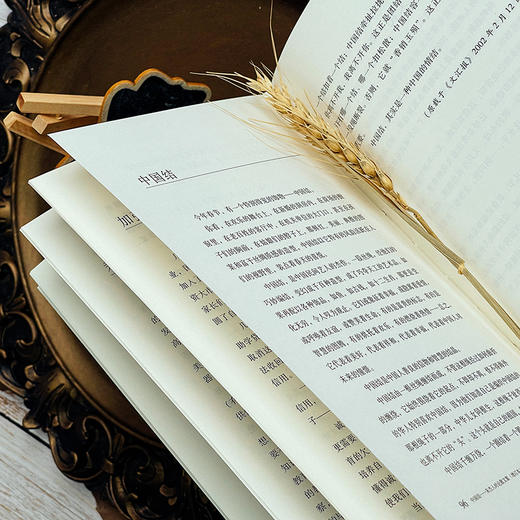 中国结 朱杰人时论散文集 增订本 正版 精装 华东师范大学出版社 商品图5