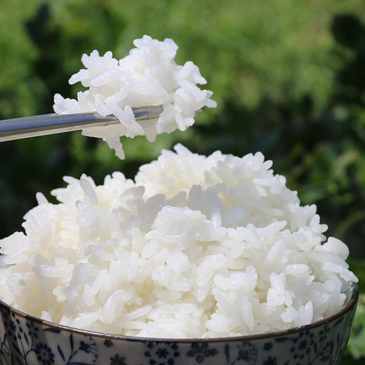 【包邮2件减5元】清香原米  东北大米 不抛光不打蜡  颗粒饱满  米香浓郁  2.5kg 商品图6