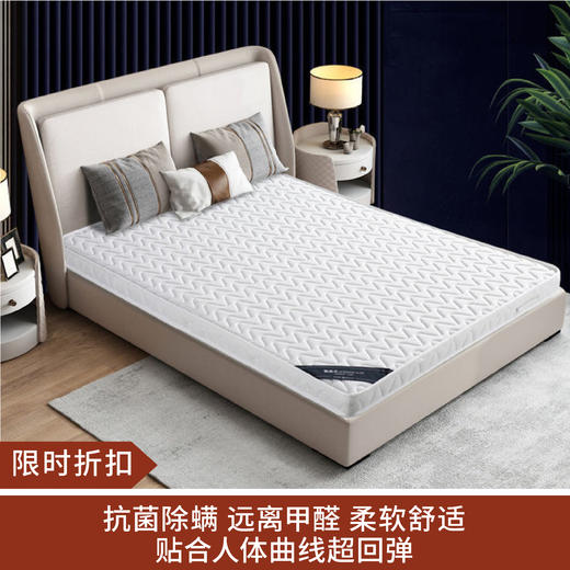 【限时折扣】椰棕垫 商品图0