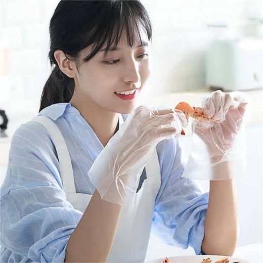 茶花一次性手套300只装3501 商品图0