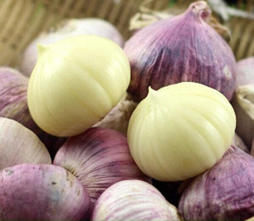独蒜 约500g/份 商品图0