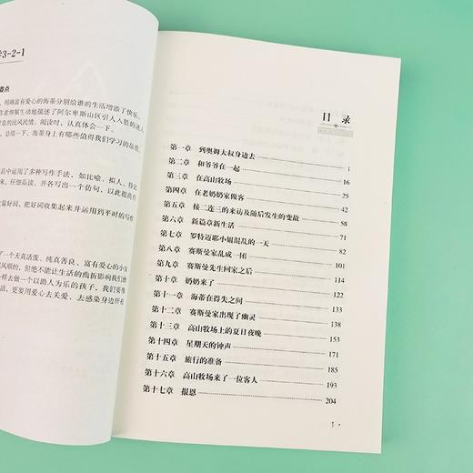 (仓发) 海蒂（中小学课外阅读 无障碍阅读）智慧熊图书/时代文艺出版社/[瑞士]约翰·娜斯比丽/9787538768909 商品图3