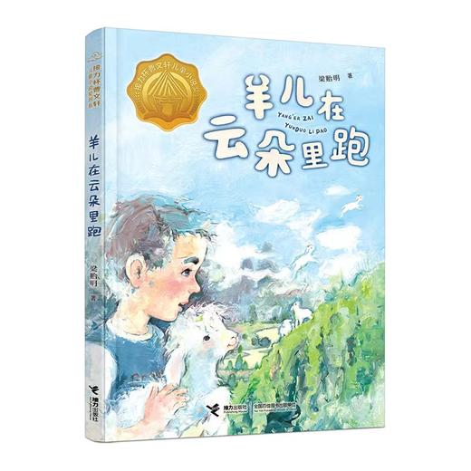 羊儿在云朵里跑：接力杯曹文轩儿童小说奖书系 商品图0