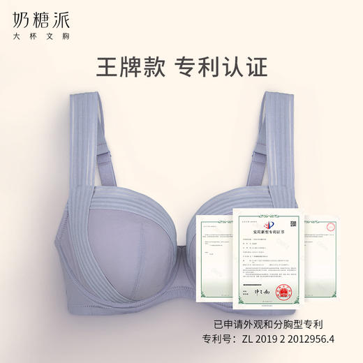 【会员积分兑换】奶糖派大杯文胸倾心分胸型4.0文胸自然承托防下垂简约大胸内衣 商品图3