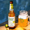 DAMM LEMON 33cl*24 商品缩略图3