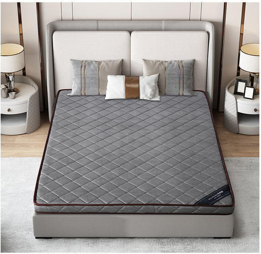 【限时折扣】椰棕垫 商品图1