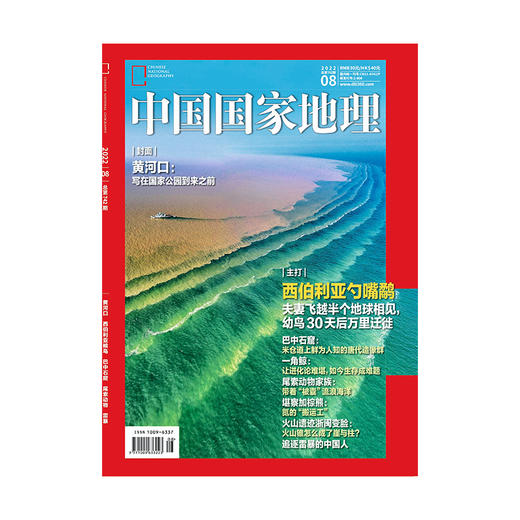 《中国国家地理》202208 黄河口 西伯利亚候鸟 巴中石窟 雷暴 尾索动物 商品图0
