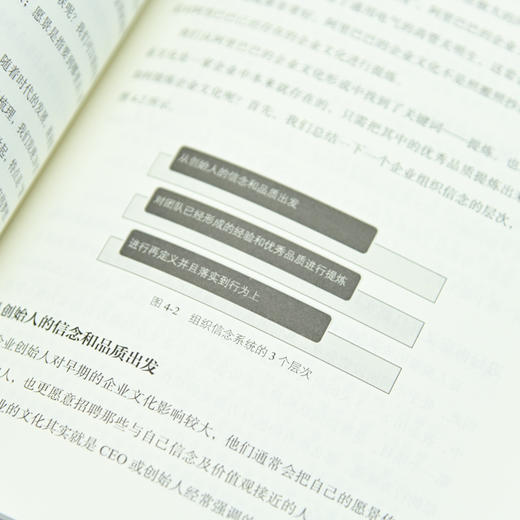 刷新管理：数字化企业快速成长 许林芳讲管理阿里巴巴企业管理组织管理企业文化敏捷组织 商品图9