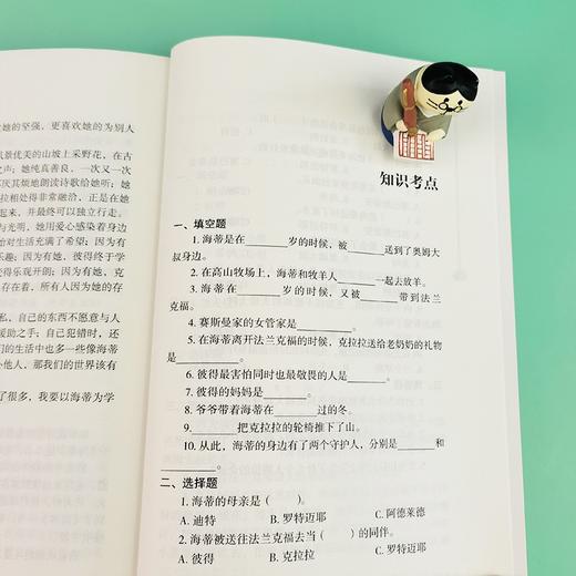 (仓发) 海蒂（中小学课外阅读 无障碍阅读）智慧熊图书/时代文艺出版社/[瑞士]约翰·娜斯比丽/9787538768909 商品图9