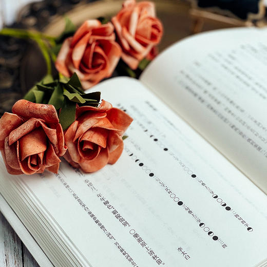 诗馀图谱 词谱要籍整理与汇编 第一辑 张綖 词学史  精装 商品图6