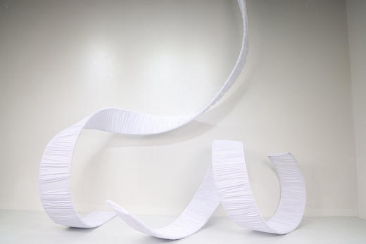 褶纹曲线（运费自理） 商品图1