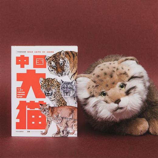 中国大猫：用科普笔记的形式，介绍中国13种野生猫科动物以及人们发现、研究和保护它们的精彩故事 商品图2