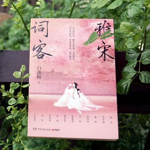雅宋词客 商品图4