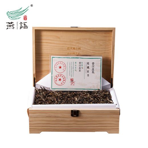 茶山直供生茶散1800克 商品图0