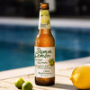 DAMM LEMON 33cl*24 商品缩略图1