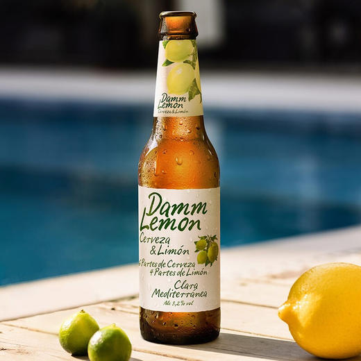 DAMM LEMON 33cl*24 商品图1