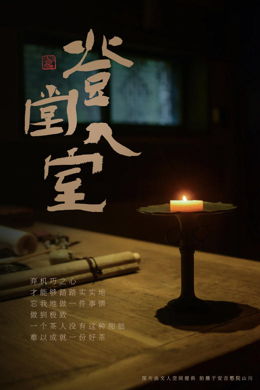 炭焙白牡丹 太姥山北岩核心老基地 明前雨前 登堂入室系列  藏茶密室推荐收藏 商品图6